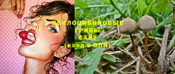 Альфа ПВП Балабаново