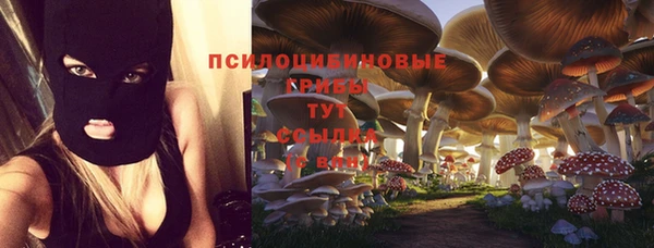 не бодяженный Арсеньев