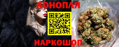 шишки Кимры