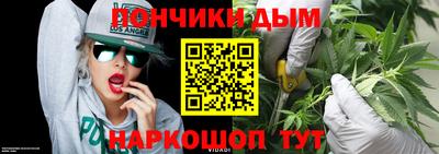шишки Кимры