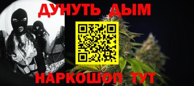 шишки Кимры