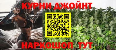 шишки Кимры