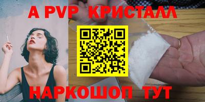 шишки Кимры