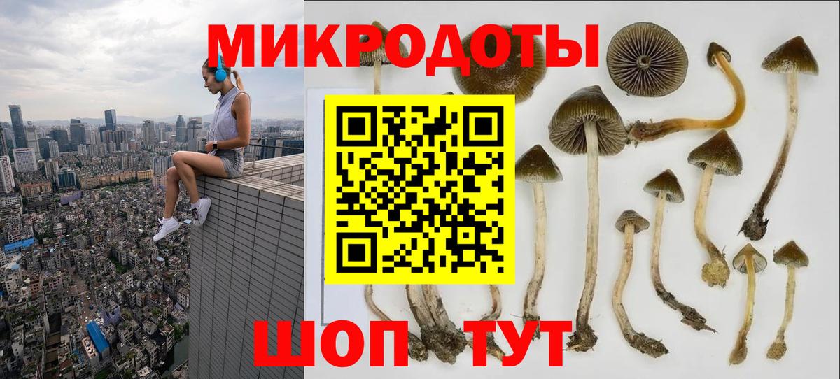 Кубинка  Псилоцибиновые грибы Psilocybe  Вход с VPN 