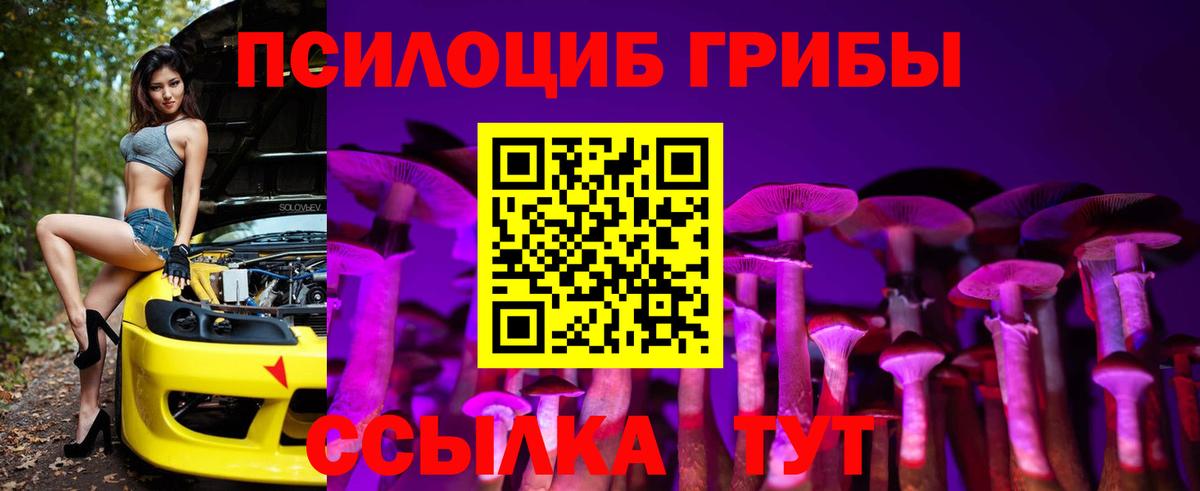 Псилоцибиновые грибы прущие грибы Кубинка